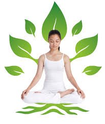 Yoga & Naturopathy